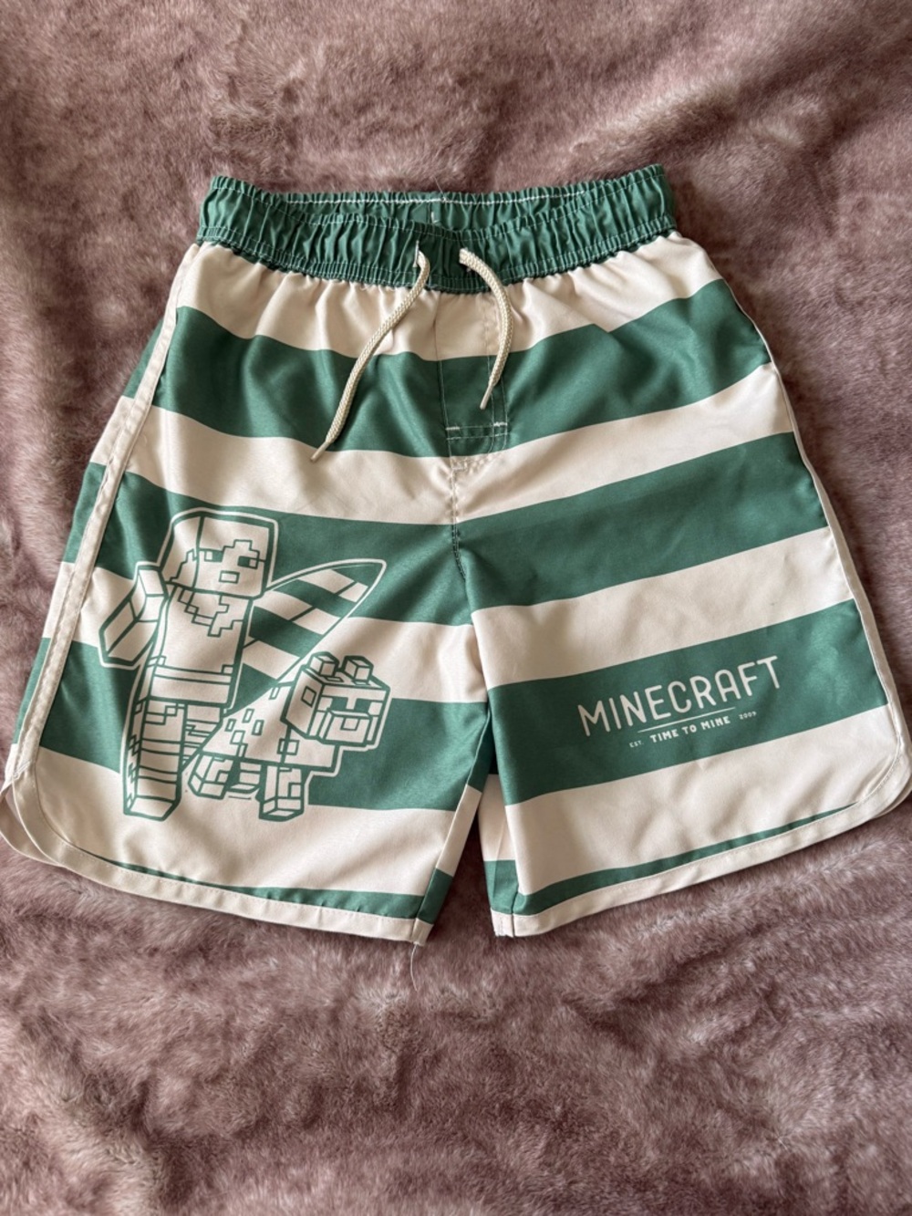 Minecraft Boys Swim Trunks